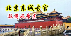 嘿八大鸡吧强奸操逼黄色视频操逼黄色中国北京-东城古宫旅游风景区